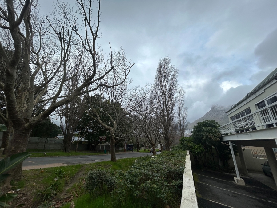 To Let Commercial Property for Rent in Cape Town City Centre Western Cape
